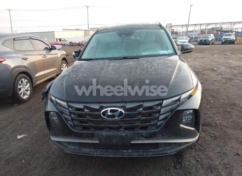 Photo 12 of 2024 Hyundai Tucson SEL (VIN 5NMJFCDE4RH358449)