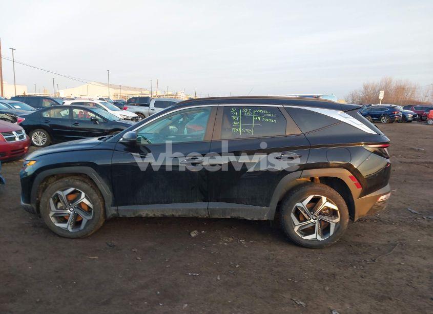 Photo 14 of 2024 Hyundai Tucson SEL (VIN 5NMJFCDE4RH358449)