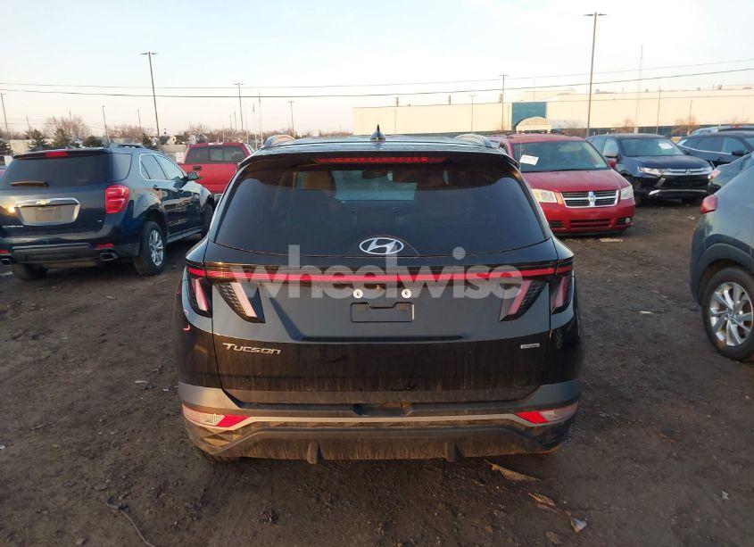 Photo 16 of 2024 Hyundai Tucson SEL (VIN 5NMJFCDE4RH358449)
