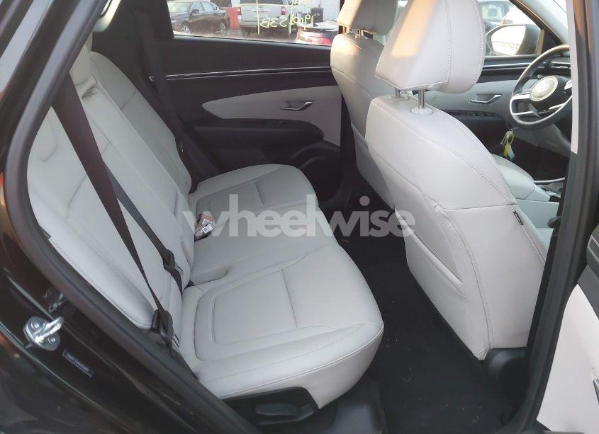 Photo 8 of 2024 Hyundai Tucson SEL (VIN 5NMJFCDE4RH358449)