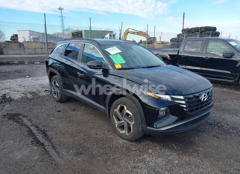 2024 Hyundai Tucson SEL (VIN 5NMJFCDE4RH395422) main photo