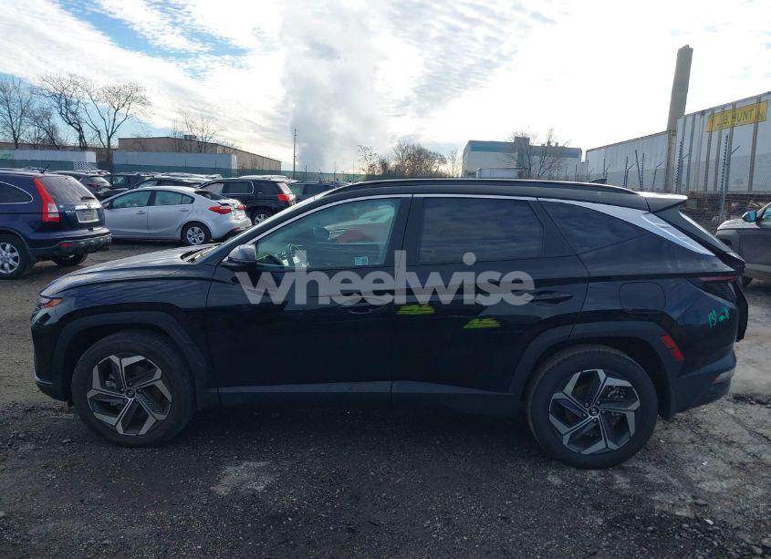 Photo 15 of 2024 Hyundai Tucson SEL (VIN 5NMJFCDE4RH395422)