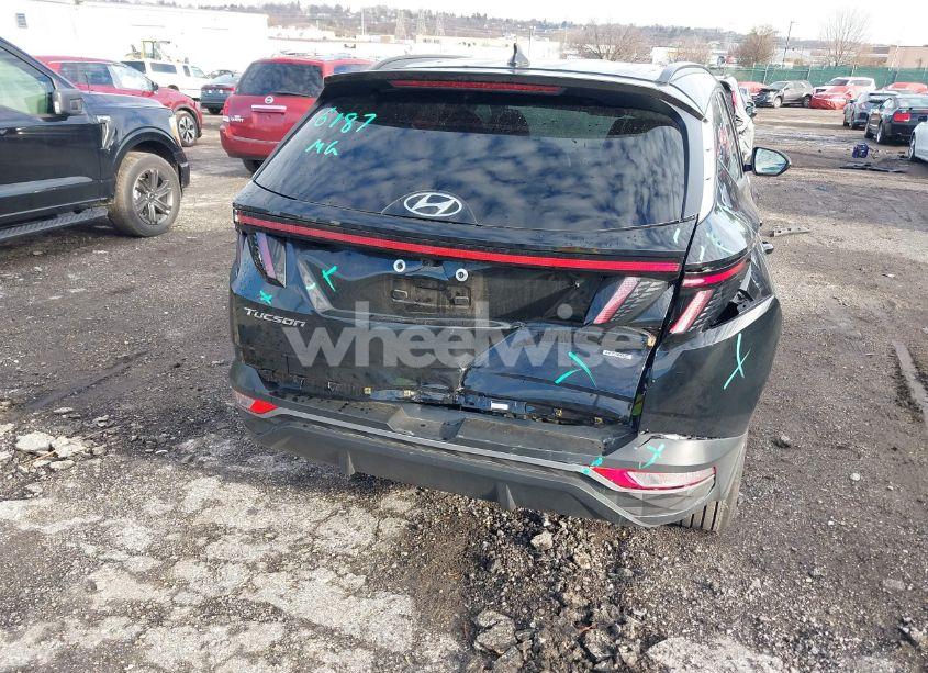 Photo 6 of 2024 Hyundai Tucson SEL (VIN 5NMJFCDE4RH395422)