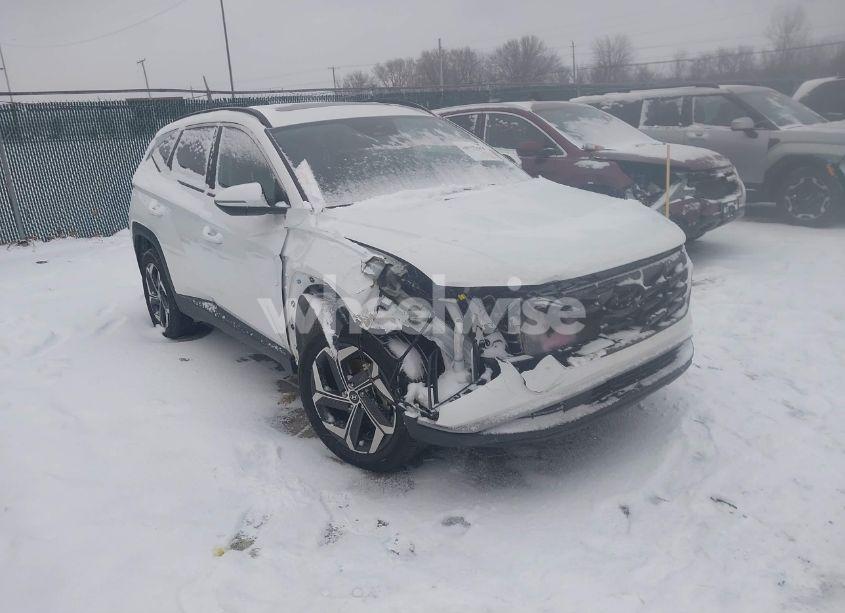 2024 Hyundai Tucson SEL (VIN 5NMJFCDE5RH302679) main photo