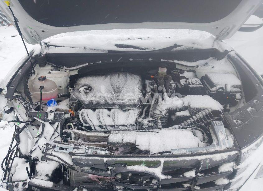 Photo 10 of 2024 Hyundai Tucson SEL (VIN 5NMJFCDE5RH302679)