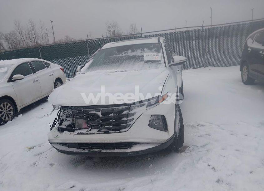 Photo 12 of 2024 Hyundai Tucson SEL (VIN 5NMJFCDE5RH302679)
