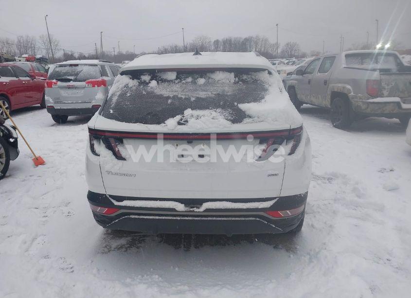 Photo 16 of 2024 Hyundai Tucson SEL (VIN 5NMJFCDE5RH302679)