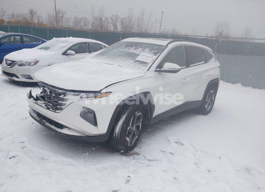 Photo 2 of 2024 Hyundai Tucson SEL (VIN 5NMJFCDE5RH302679)