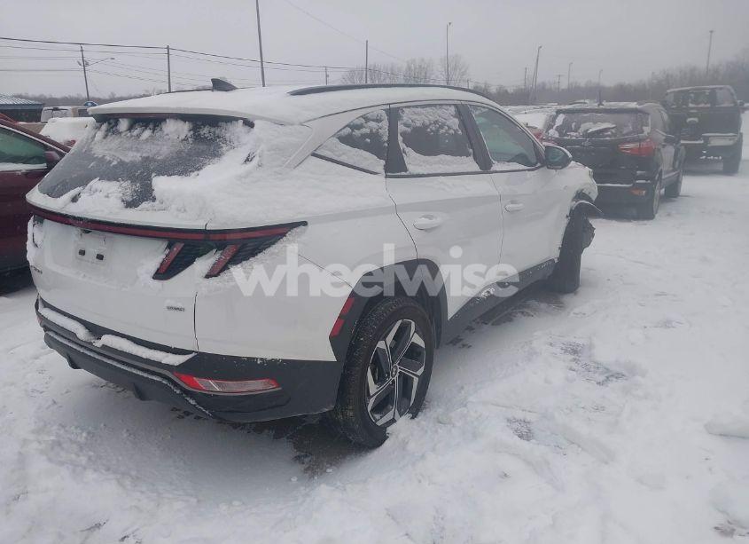 Photo 4 of 2024 Hyundai Tucson SEL (VIN 5NMJFCDE5RH302679)