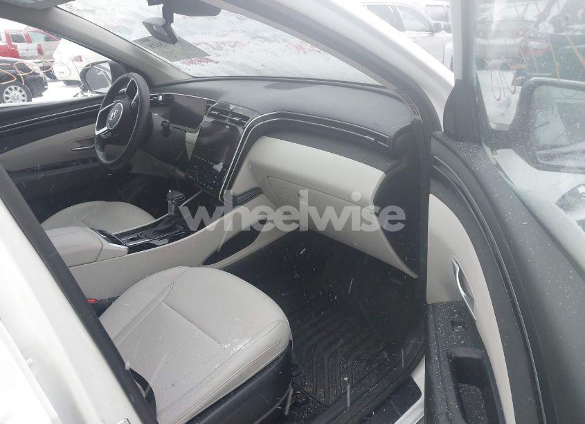 Photo 5 of 2024 Hyundai Tucson SEL (VIN 5NMJFCDE5RH302679)