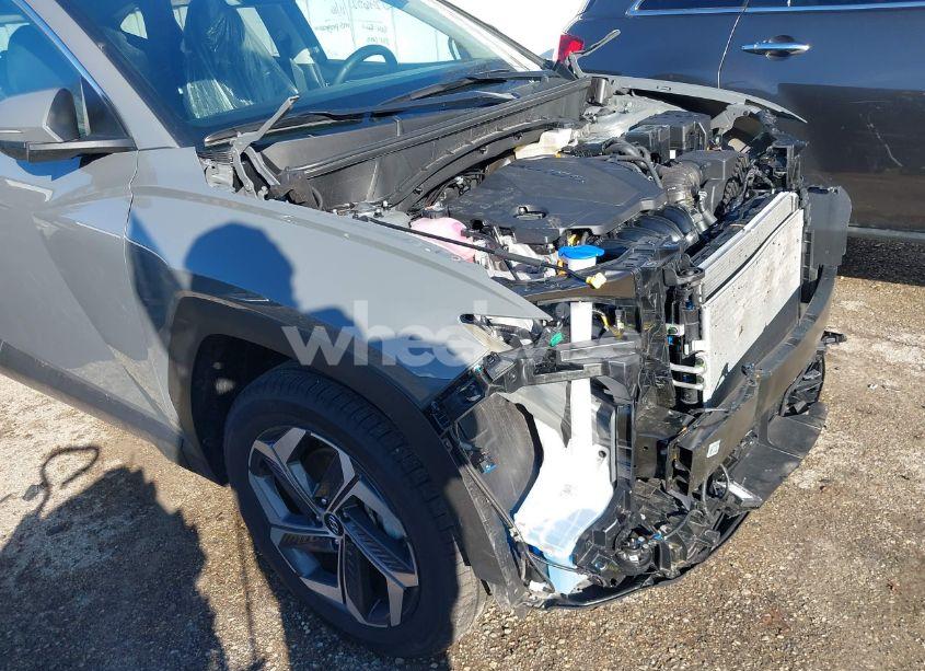 Photo 18 of 2024 Hyundai Tucson SEL (VIN 5NMJFCDE5RH391718)