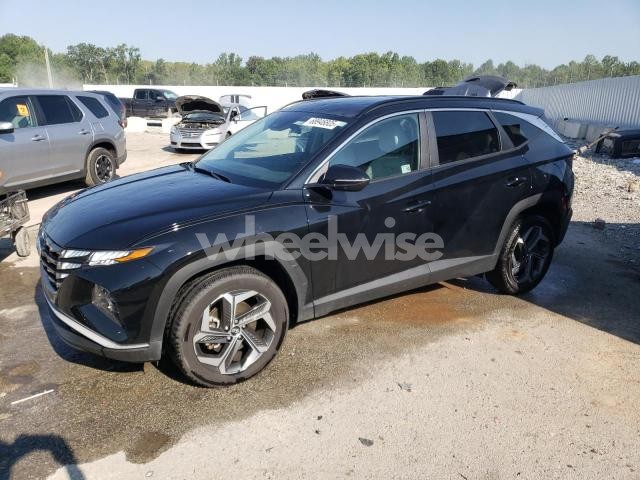 2024 HYUNDAI TUCSON SEL (VIN 5NMJFCDE5RH409229) main photo