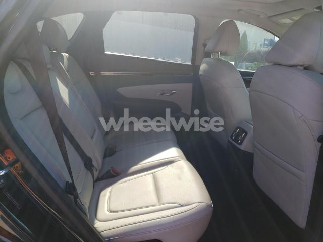 Photo 10 of 2024 HYUNDAI TUCSON SEL (VIN 5NMJFCDE5RH409229)