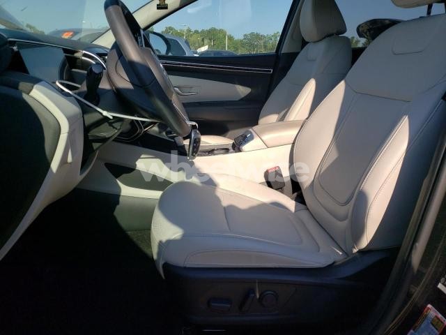 Photo 13 of 2024 HYUNDAI TUCSON SEL (VIN 5NMJFCDE5RH409229)