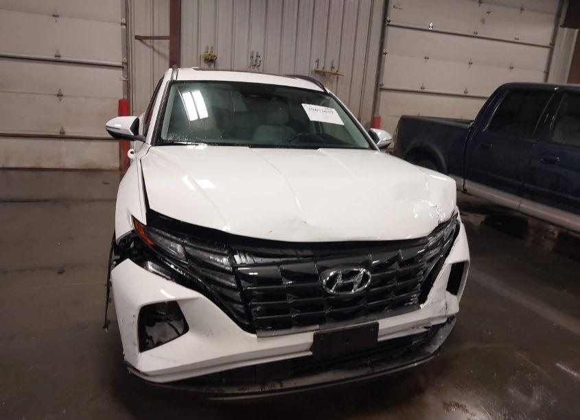 Photo 13 of 2024 Hyundai Tucson SEL (VIN 5NMJFCDE6RH303386)