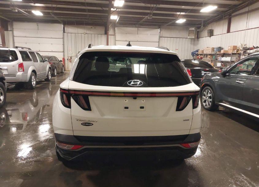 Photo 17 of 2024 Hyundai Tucson SEL (VIN 5NMJFCDE6RH303386)