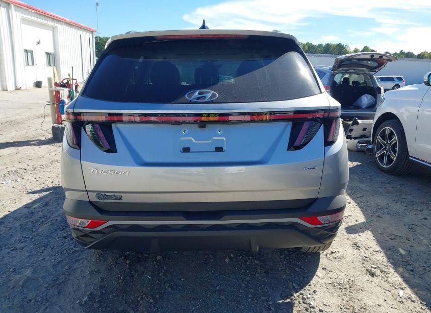 Photo 17 of 2024 Hyundai Tucson SEL (VIN 5NMJFCDE6RH304165)