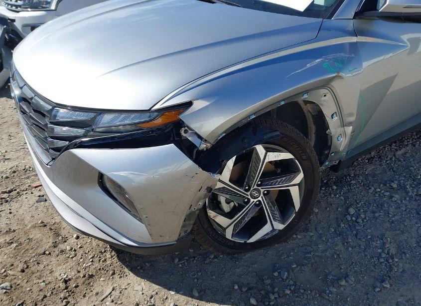 Photo 6 of 2024 Hyundai Tucson SEL (VIN 5NMJFCDE6RH304165)