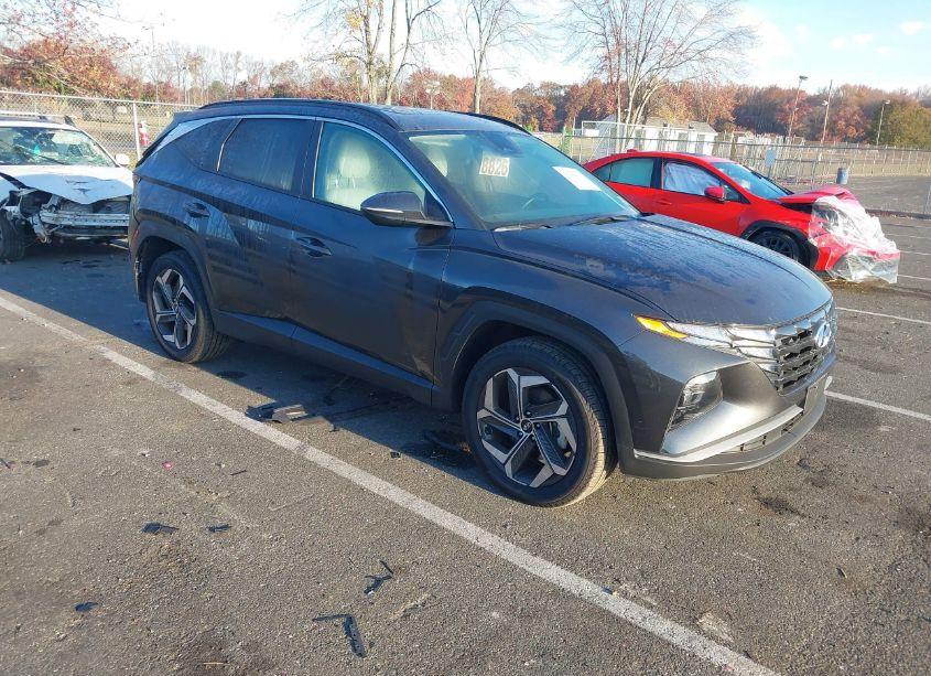 2024 Hyundai Tucson SEL (VIN 5NMJFCDE6RH329695) main photo