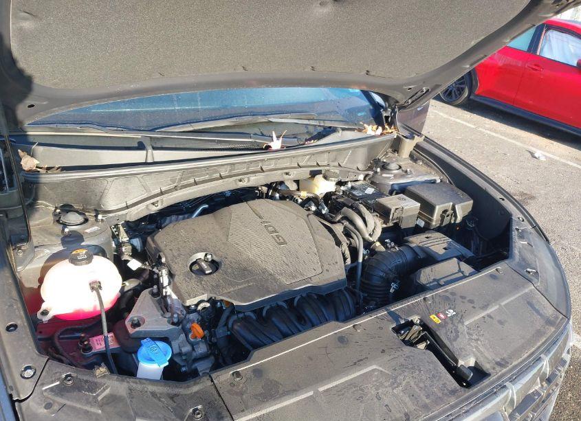 Photo 10 of 2024 Hyundai Tucson SEL (VIN 5NMJFCDE6RH329695)
