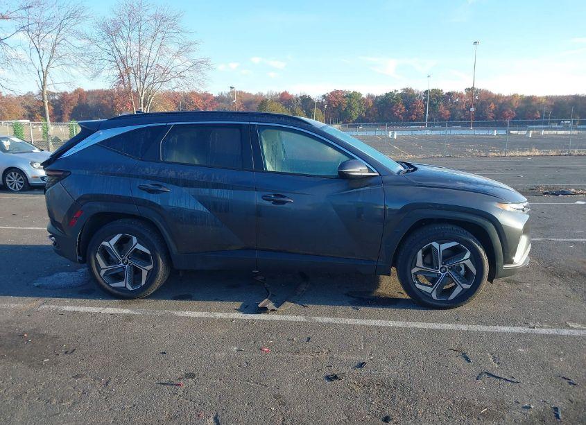 Photo 13 of 2024 Hyundai Tucson SEL (VIN 5NMJFCDE6RH329695)