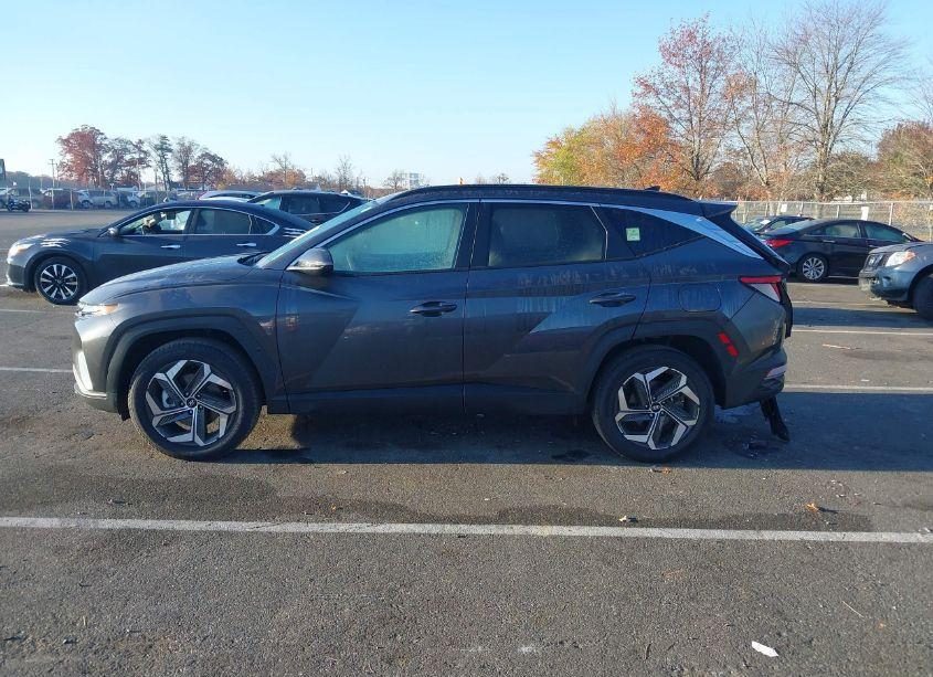 Photo 14 of 2024 Hyundai Tucson SEL (VIN 5NMJFCDE6RH329695)