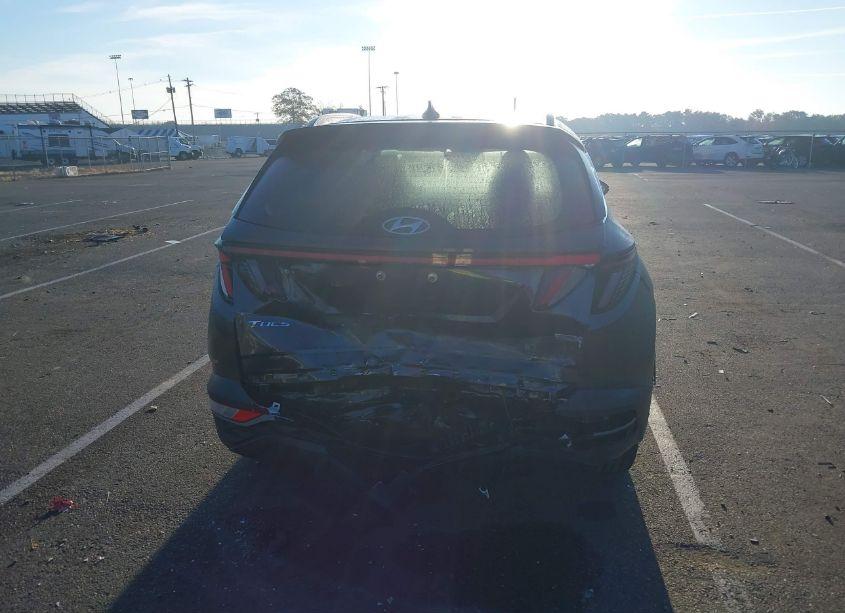 Photo 16 of 2024 Hyundai Tucson SEL (VIN 5NMJFCDE6RH329695)