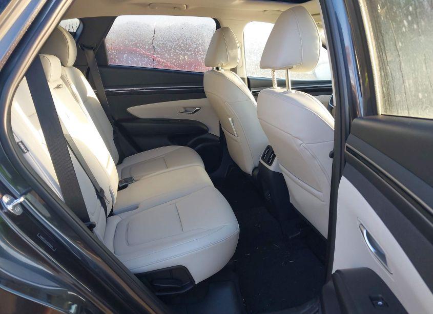 Photo 8 of 2024 Hyundai Tucson SEL (VIN 5NMJFCDE6RH329695)