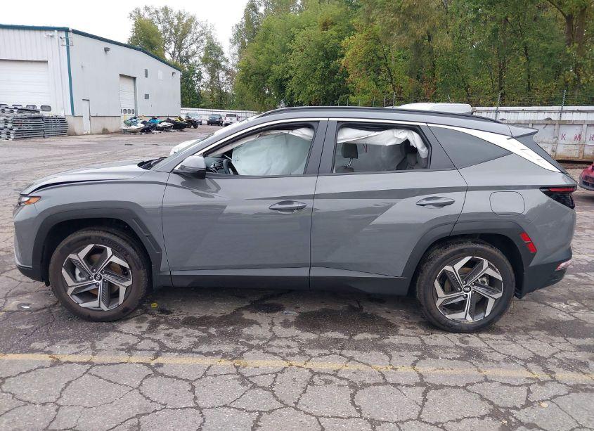 Photo 14 of 2024 Hyundai Tucson SEL (VIN 5NMJFCDE6RH365631)