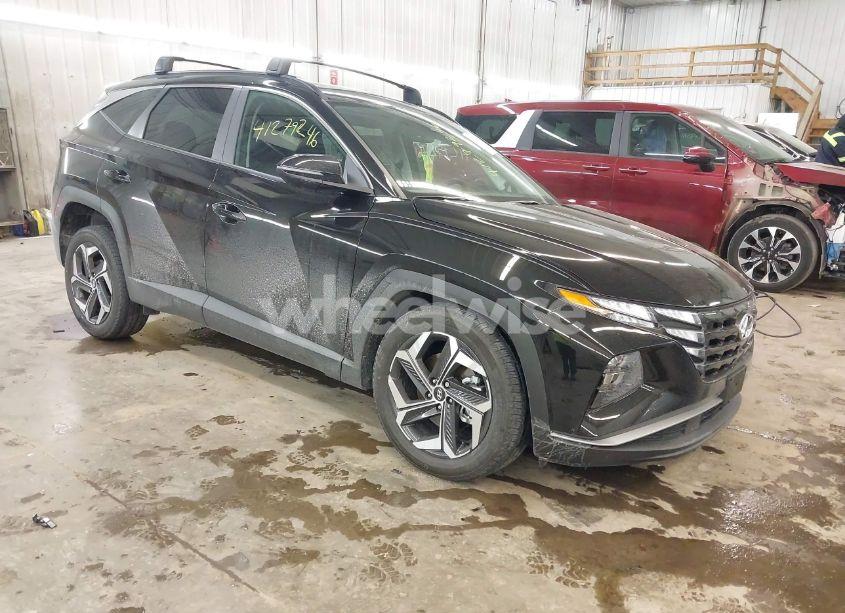 2024 Hyundai Tucson SEL (VIN 5NMJFCDE6RH369257) main photo