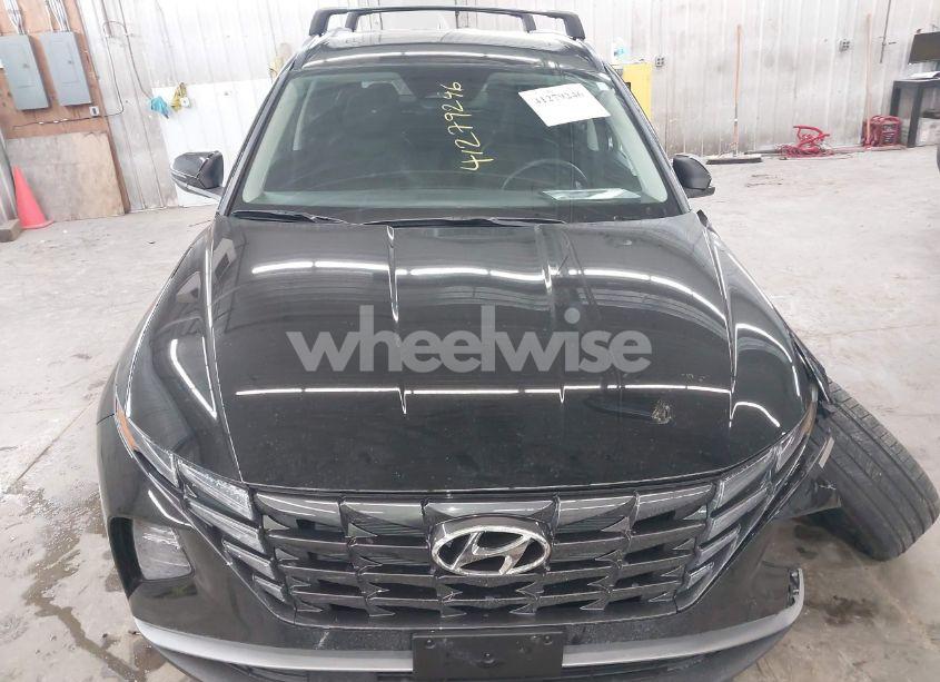Photo 11 of 2024 Hyundai Tucson SEL (VIN 5NMJFCDE6RH369257)