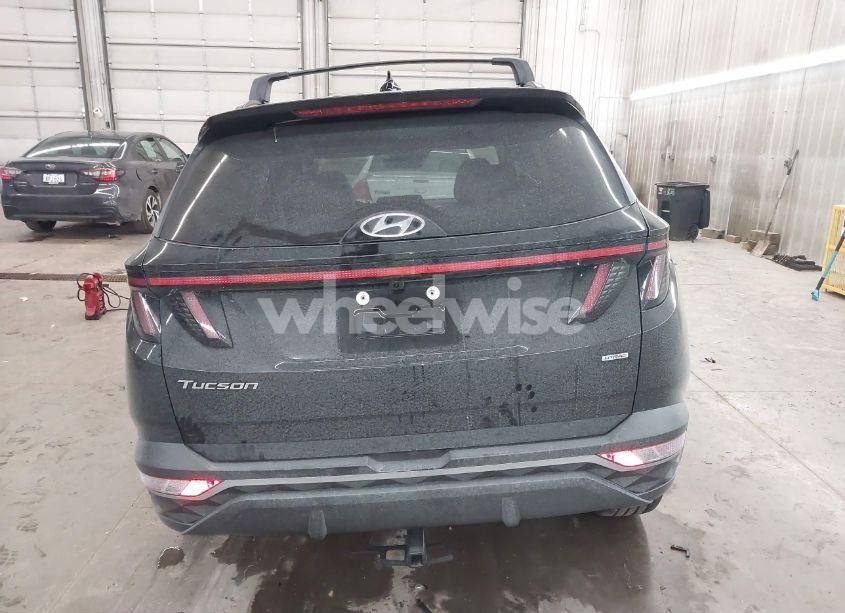 Photo 15 of 2024 Hyundai Tucson SEL (VIN 5NMJFCDE6RH369257)