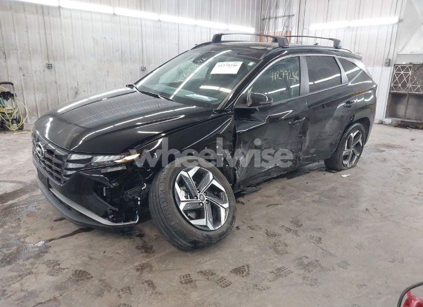 Photo 2 of 2024 Hyundai Tucson SEL (VIN 5NMJFCDE6RH369257)