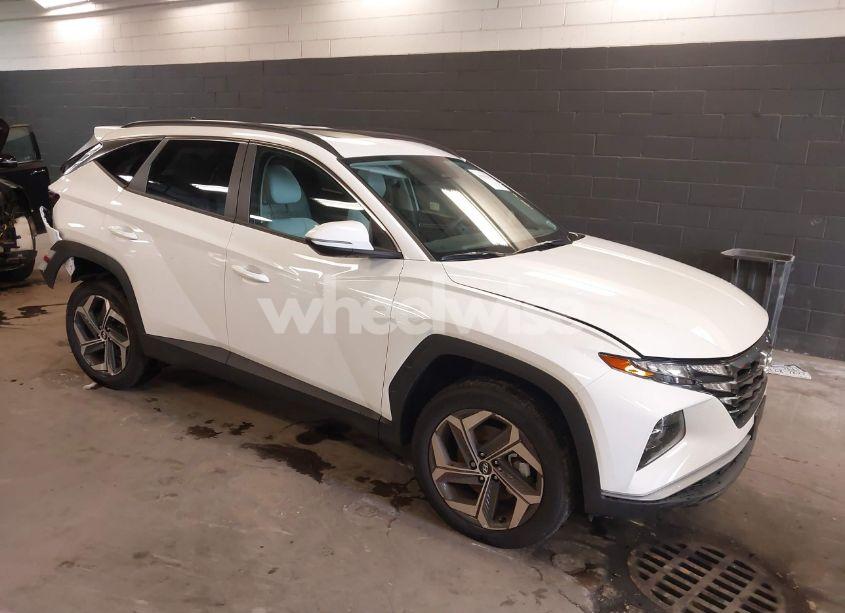 2024 Hyundai Tucson SEL (VIN 5NMJFCDE6RH372143) main photo