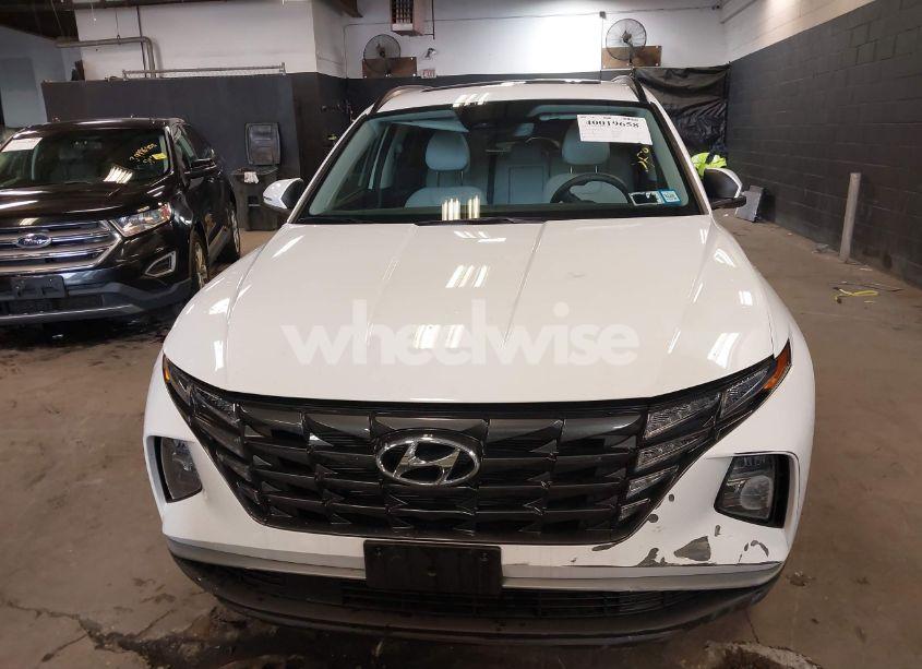 Photo 12 of 2024 Hyundai Tucson SEL (VIN 5NMJFCDE6RH372143)
