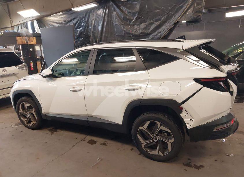 Photo 14 of 2024 Hyundai Tucson SEL (VIN 5NMJFCDE6RH372143)