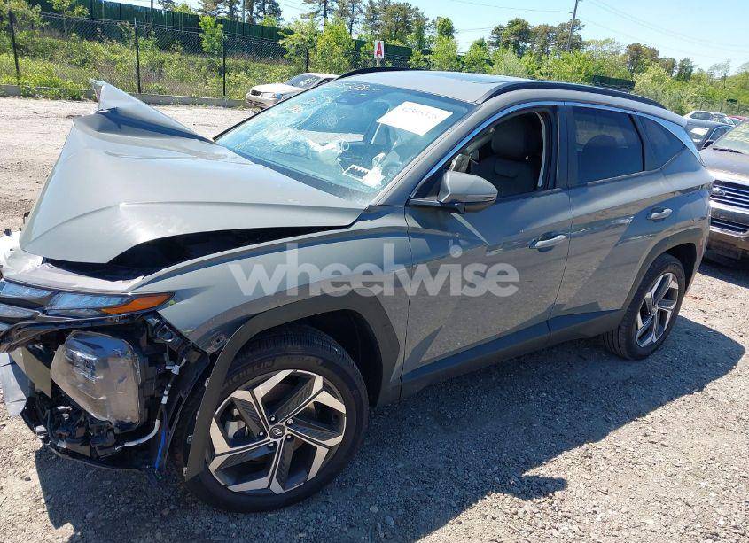 Photo 14 of 2024 Hyundai Tucson SEL (VIN 5NMJFCDE8RH366683)
