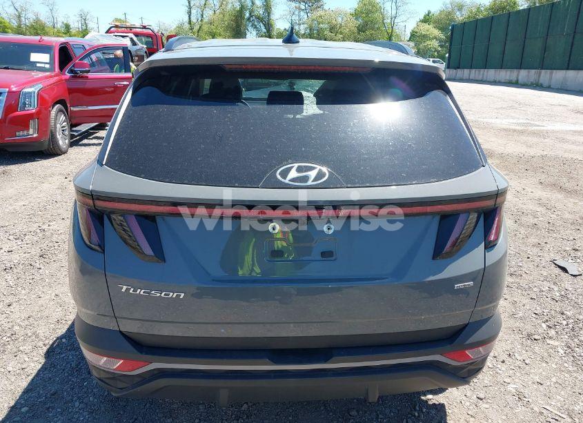 Photo 16 of 2024 Hyundai Tucson SEL (VIN 5NMJFCDE8RH366683)