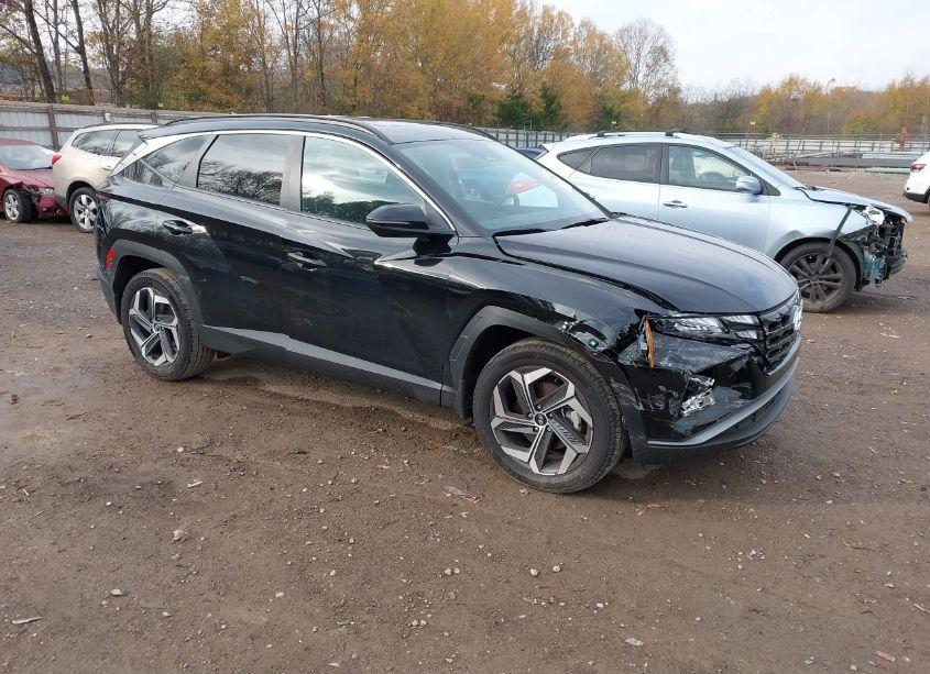2024 Hyundai Tucson SEL (VIN 5NMJFCDE9RH296546) main photo