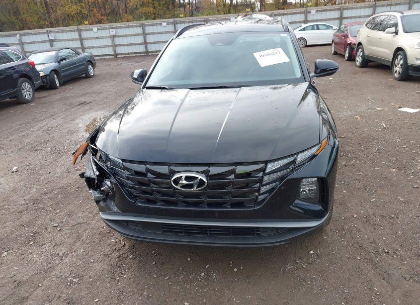 Photo 12 of 2024 Hyundai Tucson SEL (VIN 5NMJFCDE9RH296546)