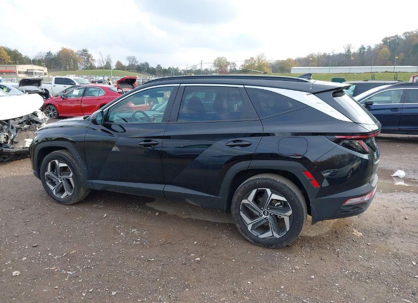 Photo 14 of 2024 Hyundai Tucson SEL (VIN 5NMJFCDE9RH296546)