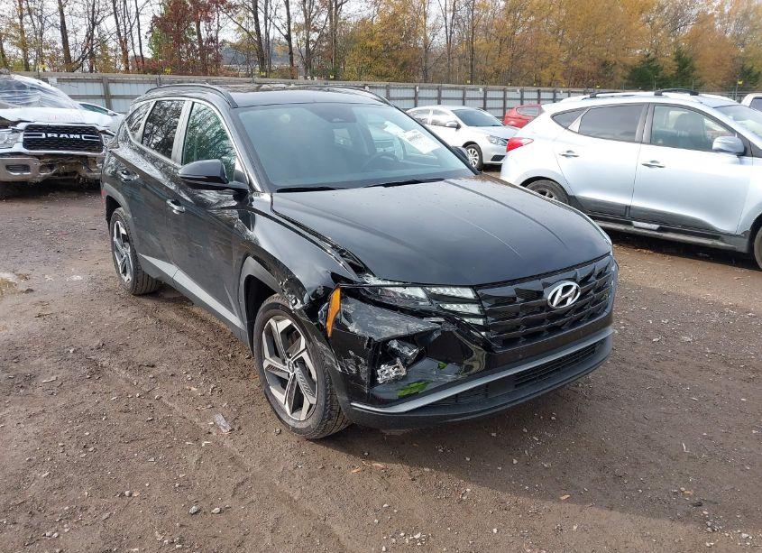 Photo 6 of 2024 Hyundai Tucson SEL (VIN 5NMJFCDE9RH296546)