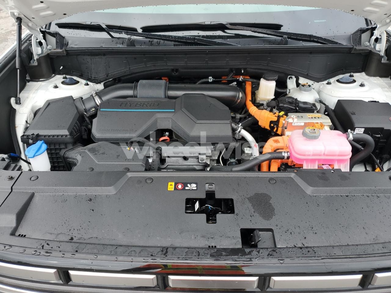 Photo 11 of 2025 HYUNDAI SANTA FE SEL (VIN 5NMP24G1XSH045464)