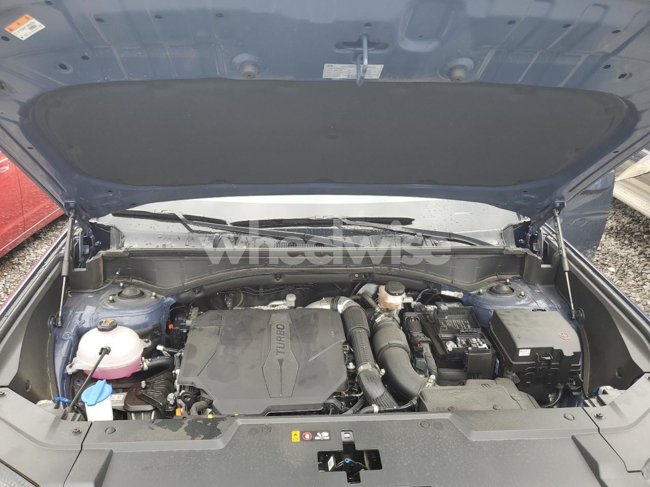 Photo 12 of 2025 HYUNDAI SANTA FE SEL (VIN 5NMP24GL1SH119694)