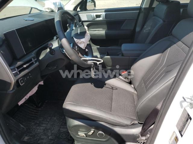 Photo 11 of 2025 HYUNDAI SANTA FE XRT (VIN 5NMP3DGL1SH143913)