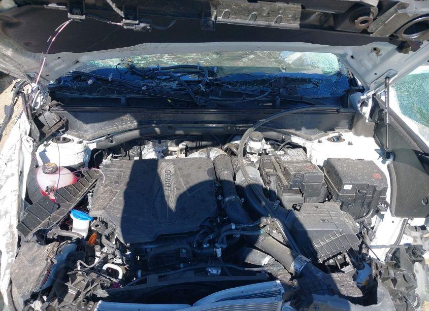 Photo 10 of 2024 Hyundai Santa FE XRT (VIN 5NMP3DGL3RH041507)