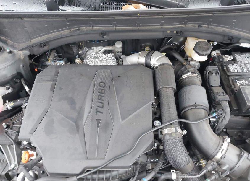 Photo 10 of 2024 Hyundai Santa FE XRT (VIN 5NMP3DGL4RH008399)