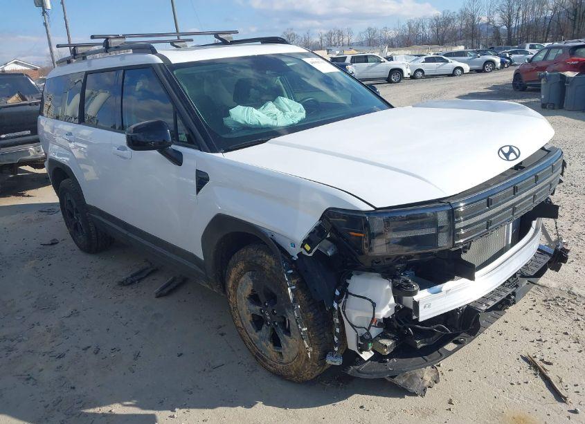 2024 Hyundai Santa FE XRT (VIN 5NMP3DGLXRH025398) main photo