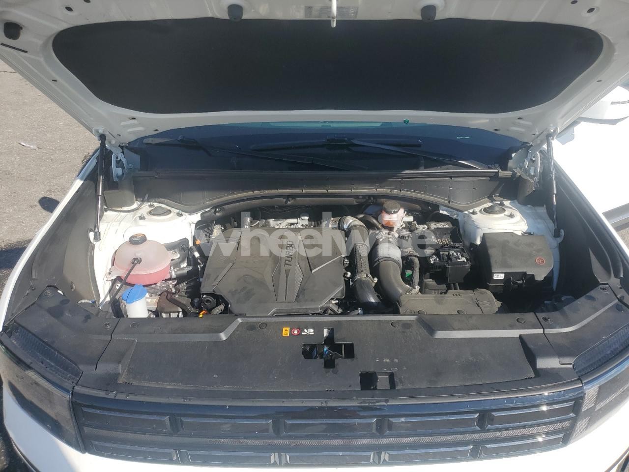 Photo 12 of 2024 HYUNDAI SANTA FE LIMITED (VIN 5NMP44GL2RH012755)