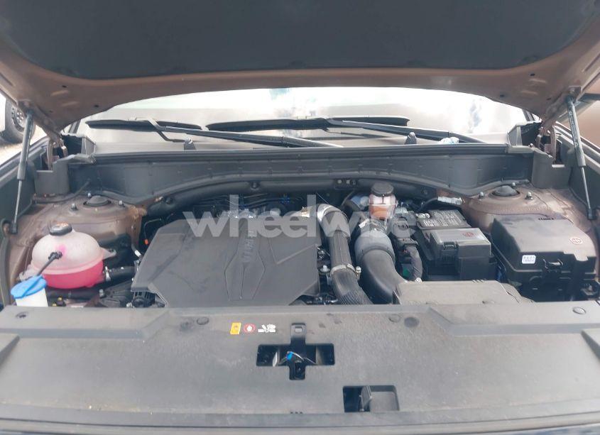 Photo 10 of 2024 Hyundai Santa FE CALLIGRAPHY (VIN 5NMP54GLXRH023290)